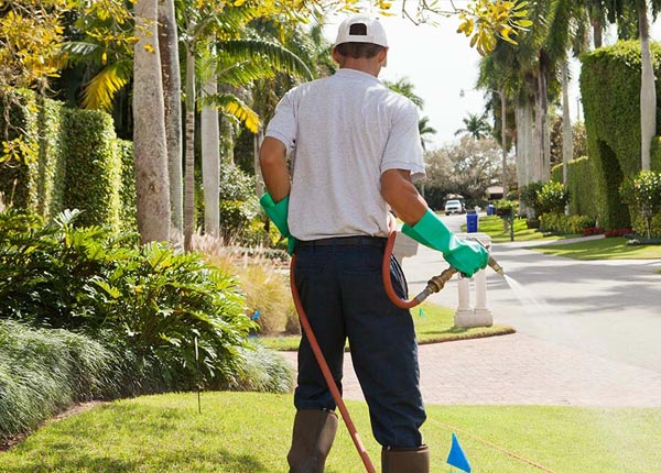 About Northbridge MA Pest Control Pros
